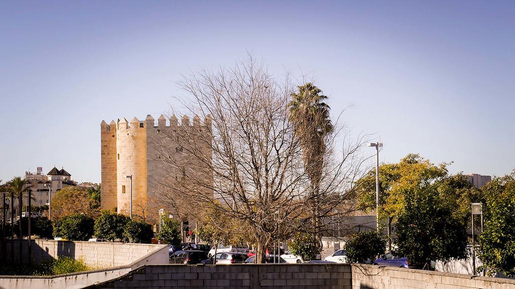 Apartamento La Calahorra Córdoba Exterior foto